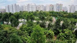 Pasir Ris Street 11 (Pasir Ris),  #629568271